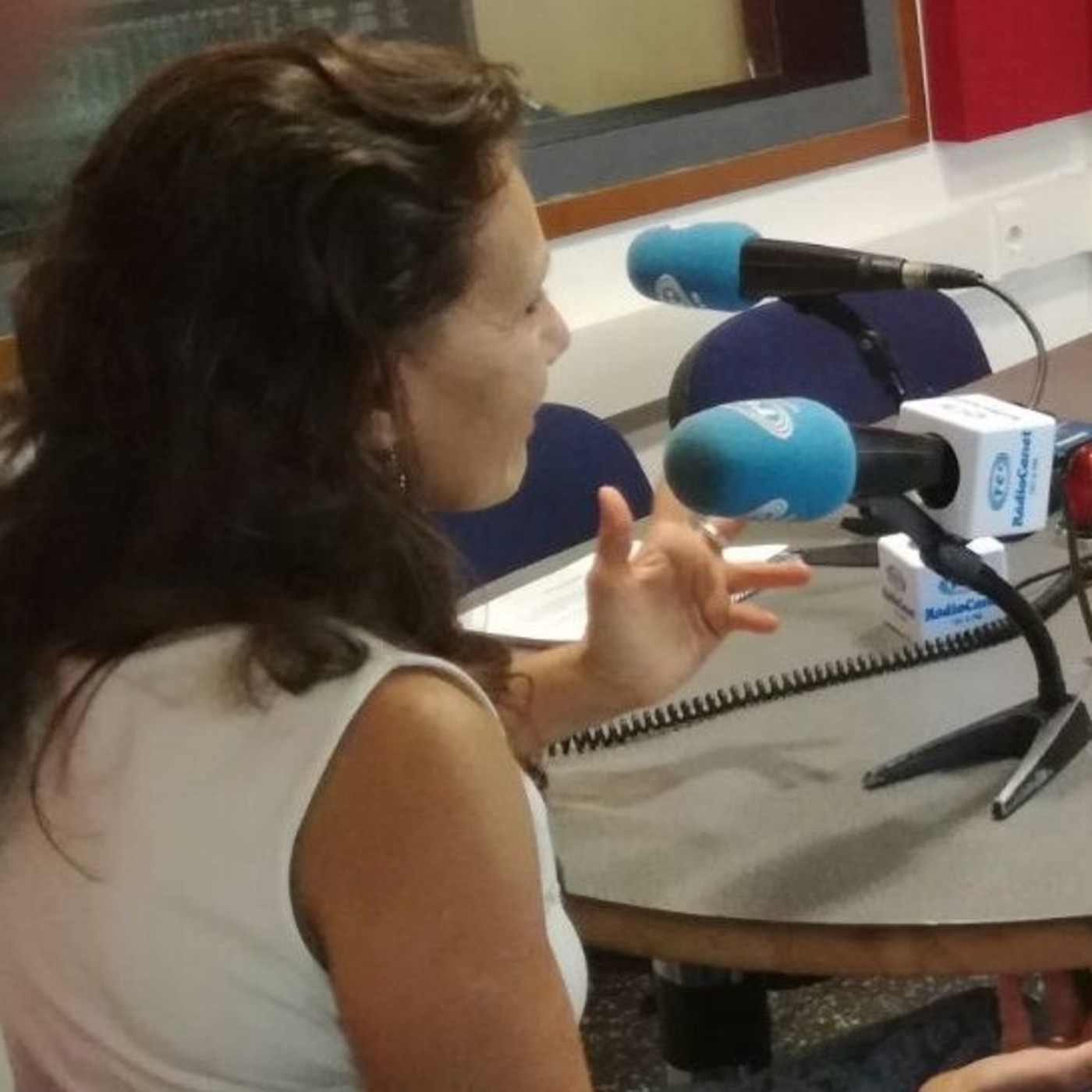 Primera Temporada de Area Alternativa