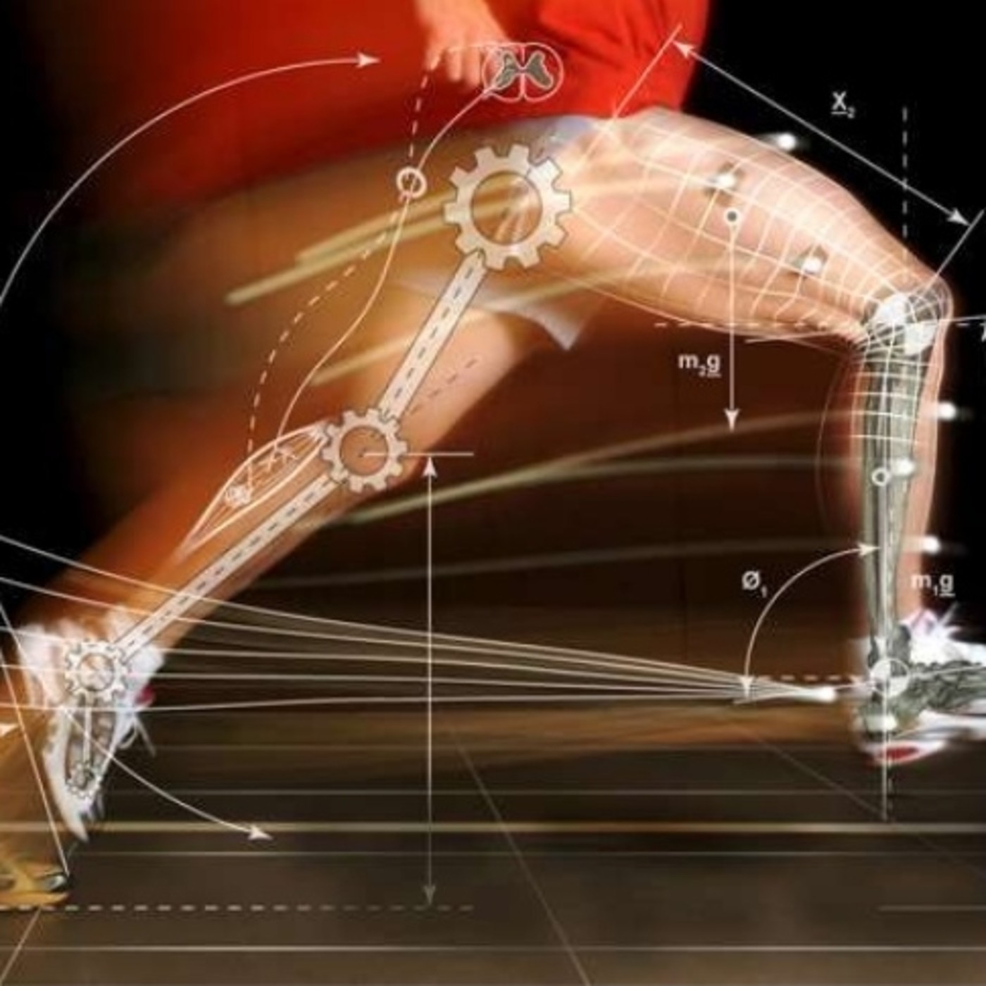 ENTRENAR CON CIENCIA