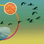embed image