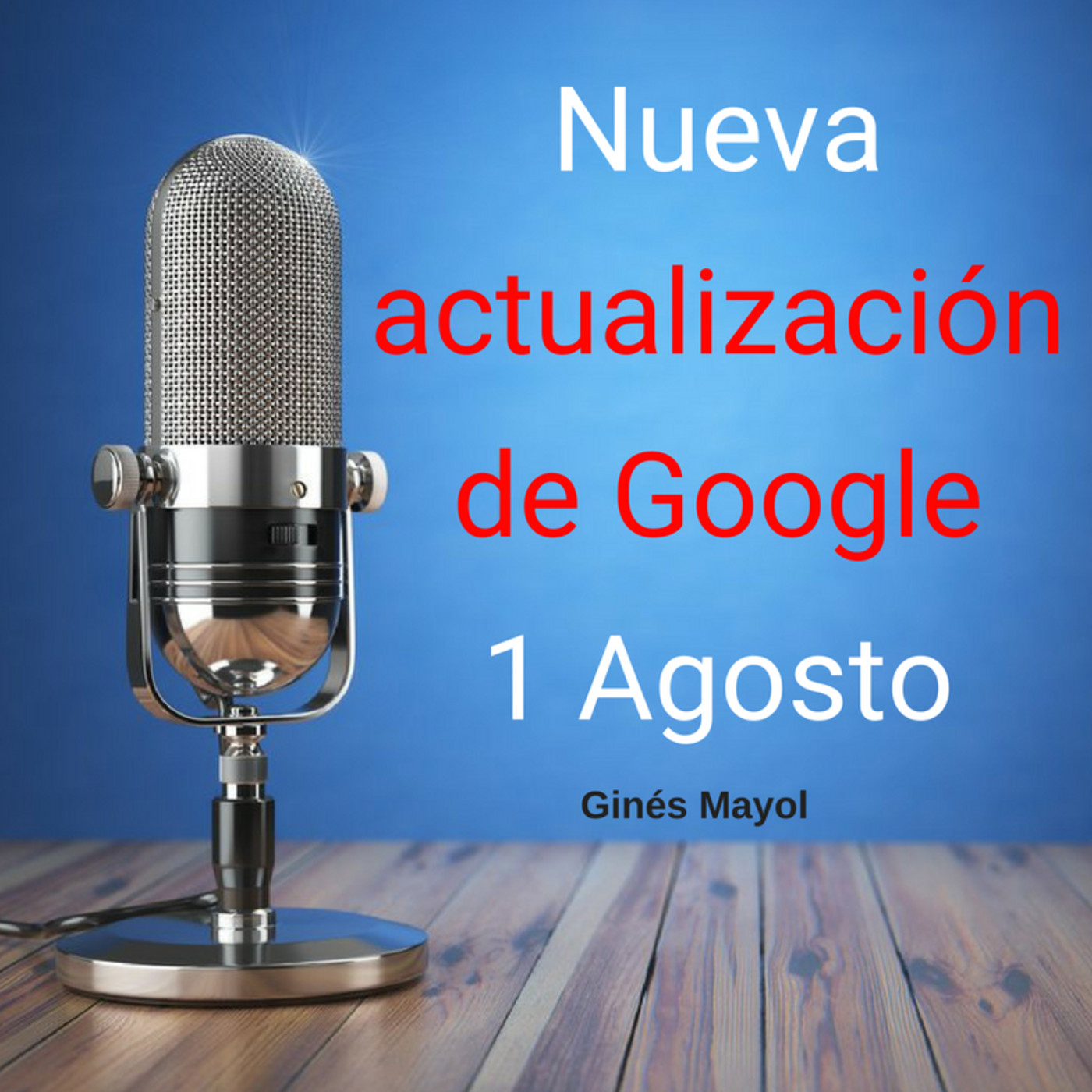 Gines Mayol - SEO