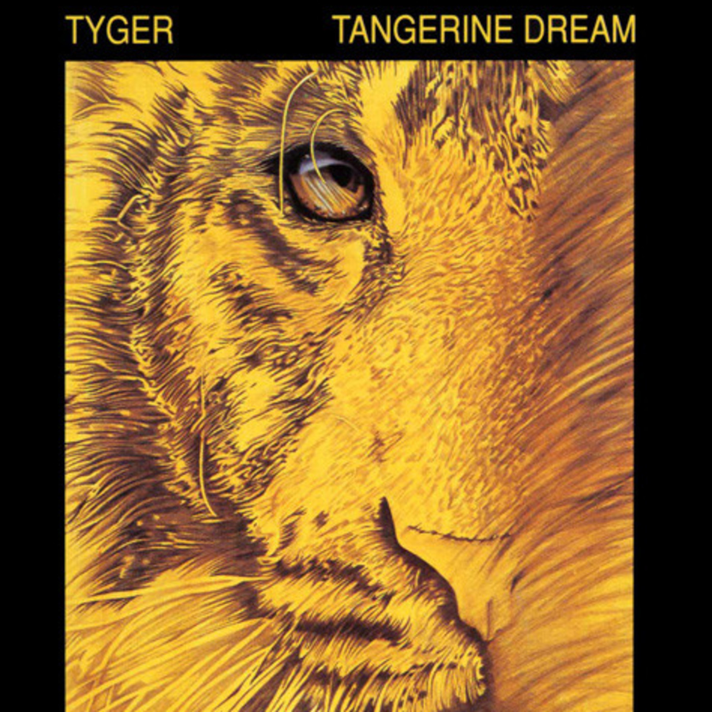 76 - Tangerine Dream – Tyger (1991) episode artwork