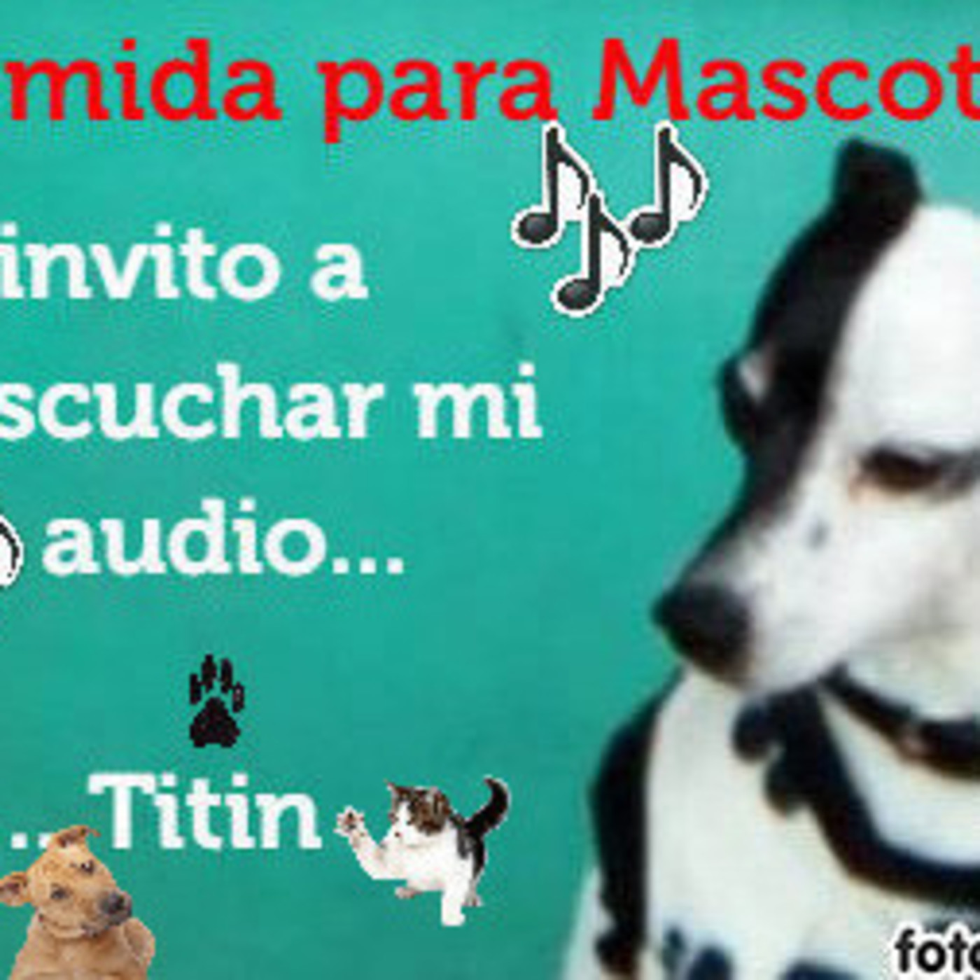 TITIN LA FORTUNA