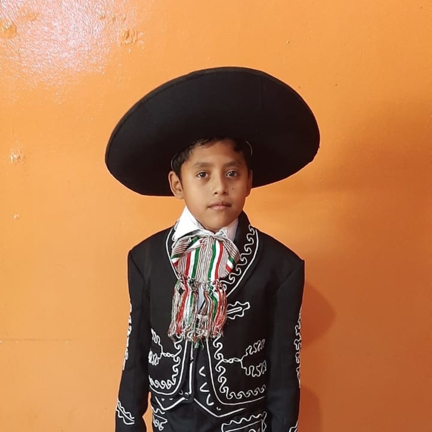 El poeta Errante