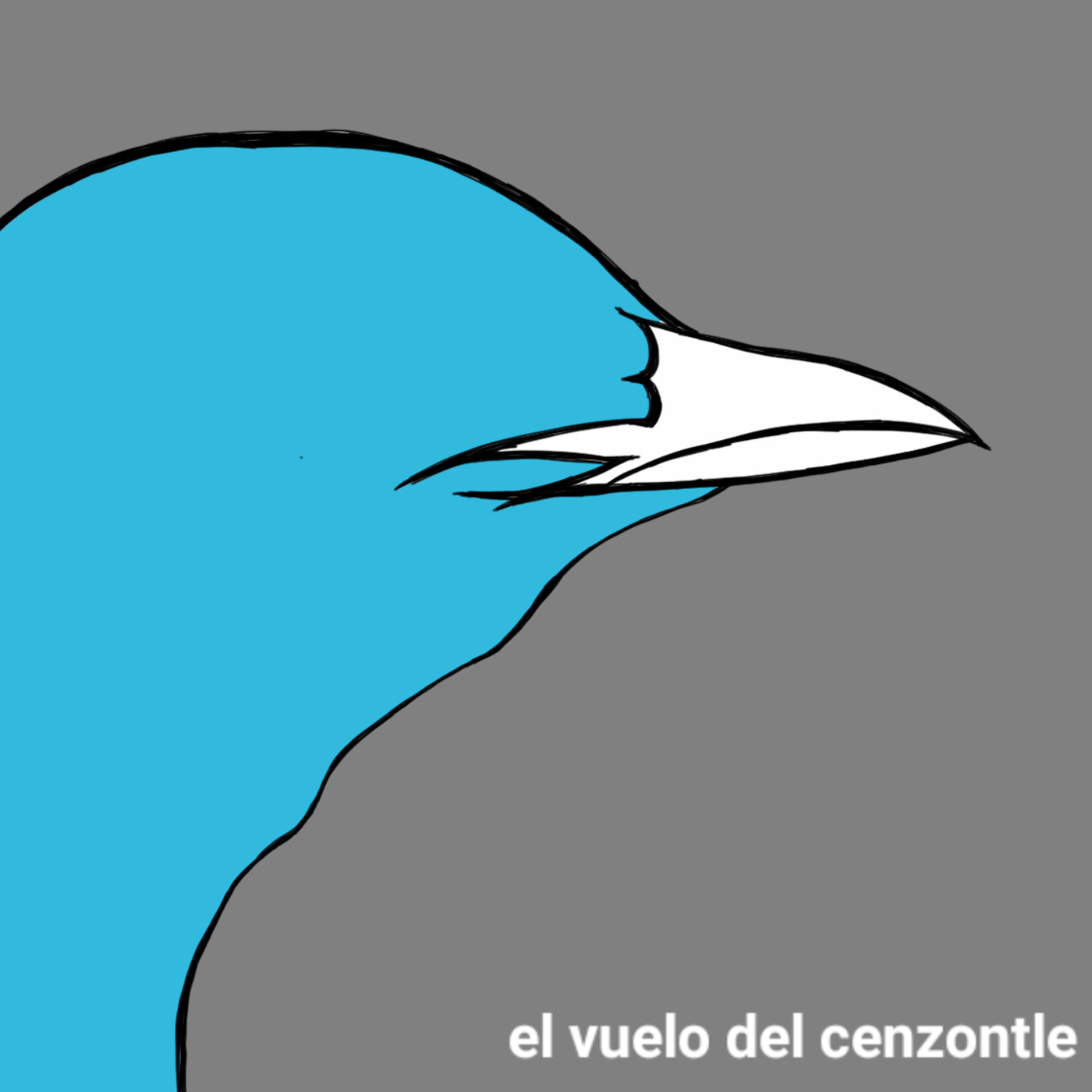 El Vuelo del Cenzontle