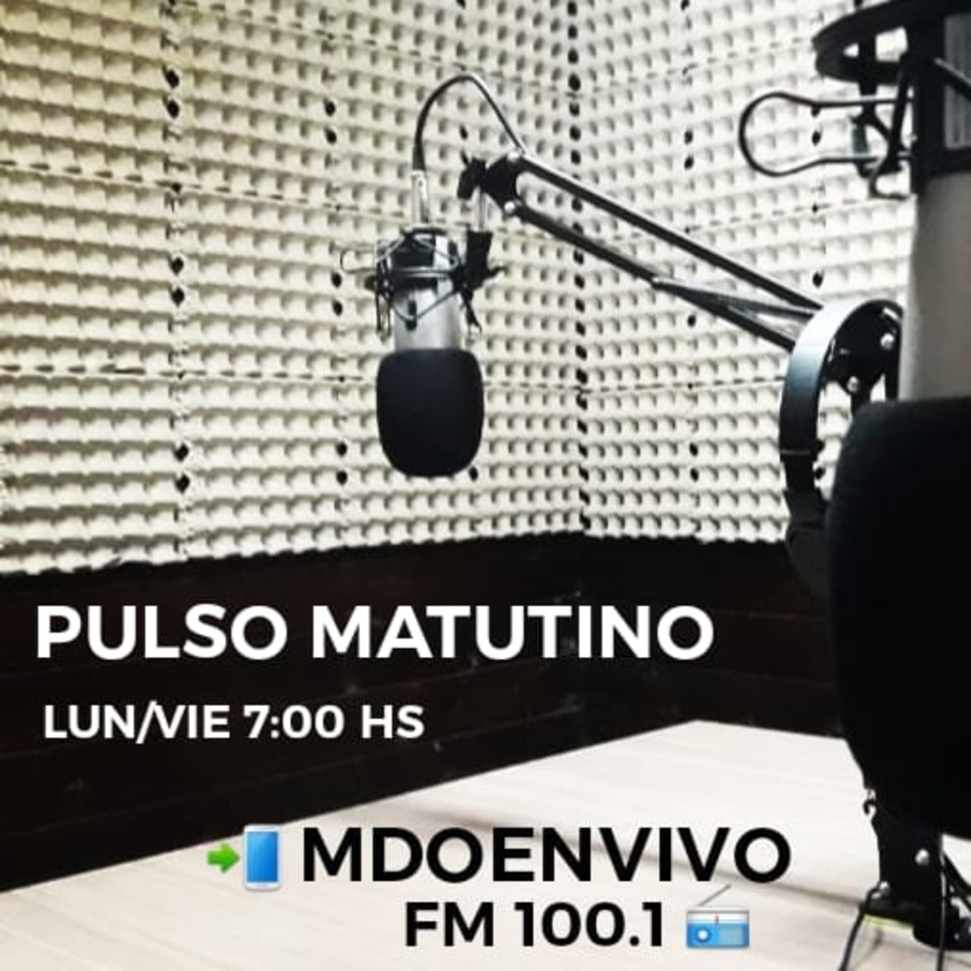 PULSO MATUTINO
