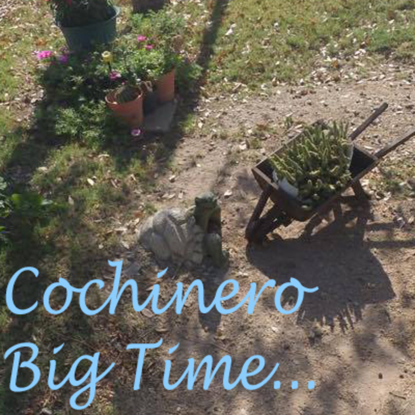 Cochinero Big Time Podcast