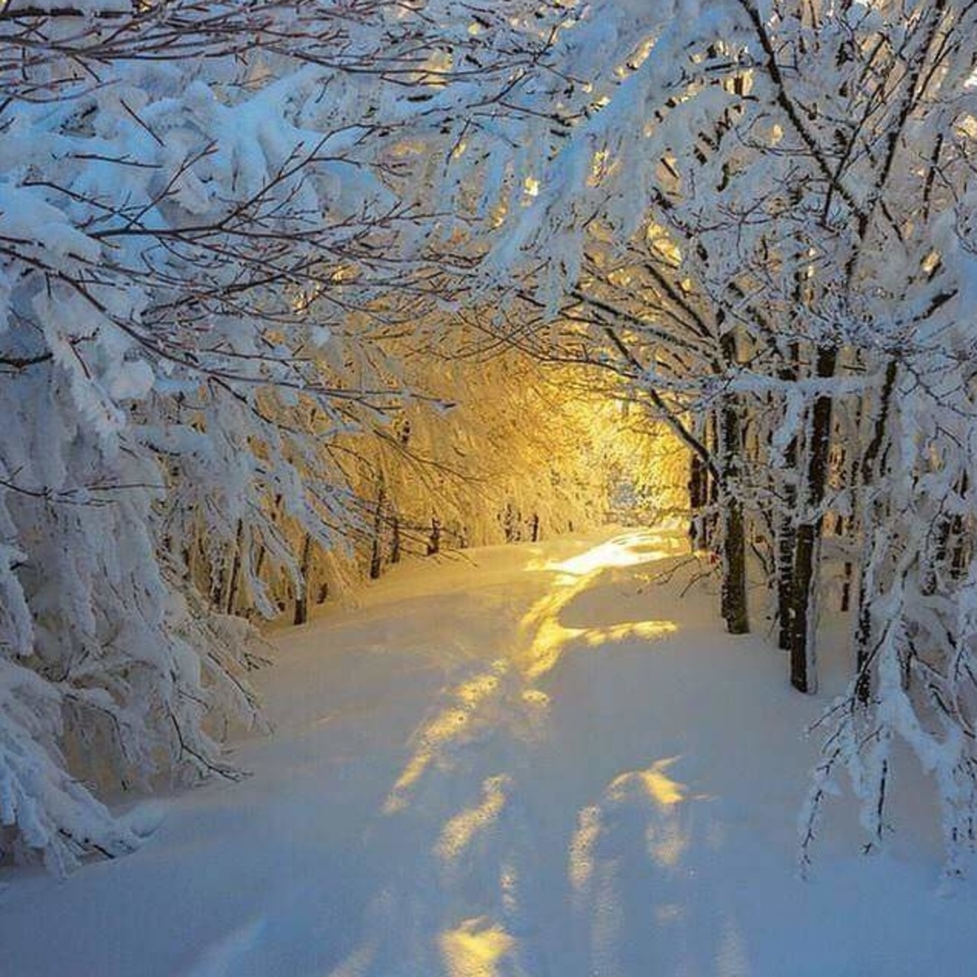 JUSTINO VALDEZ GABRIEL