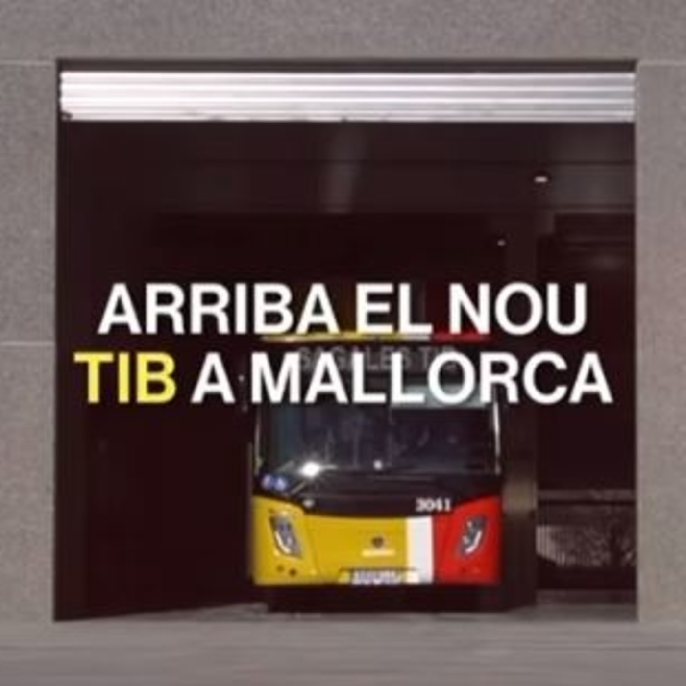 Calvià Directe
