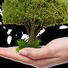 Ecología