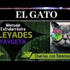 46- Swaruu y el Gato: Esta Realmente Alli? Mensaje 22 Extraterrestre Pleyadiano