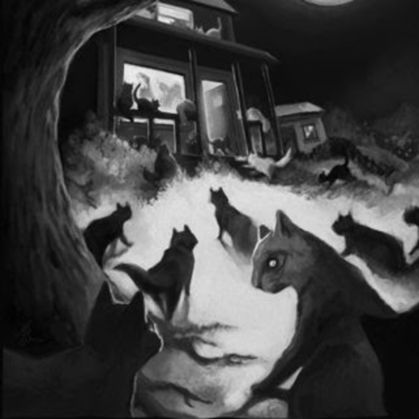 Casa de Tinieblas - Audiolibros