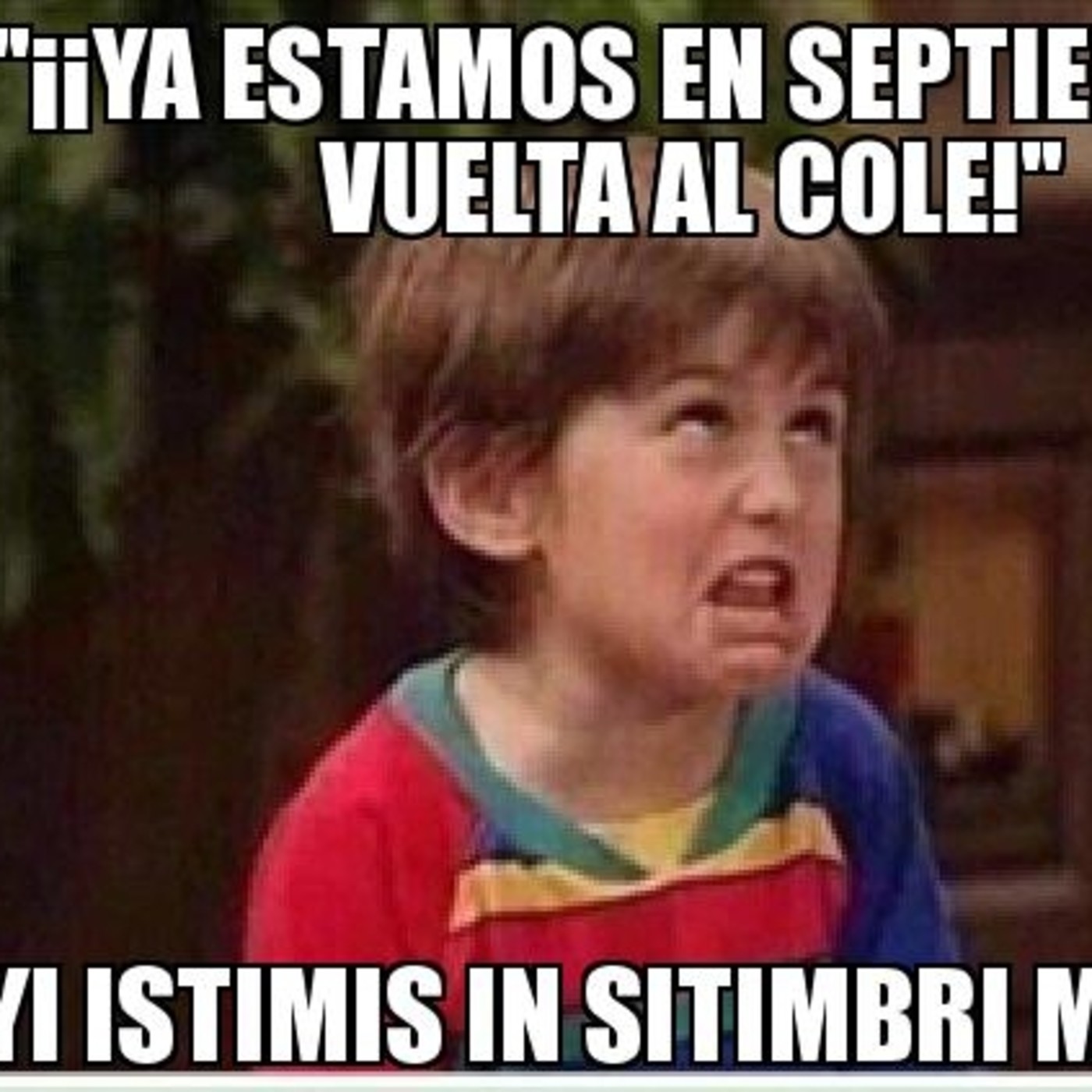 Desconexión Iruña