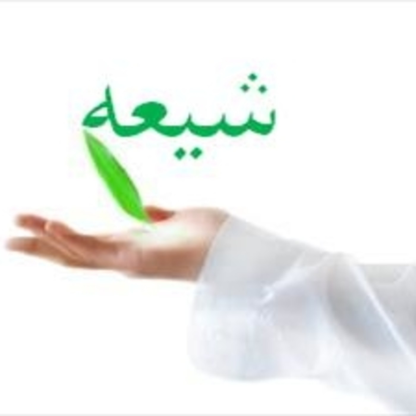 sheij kashani