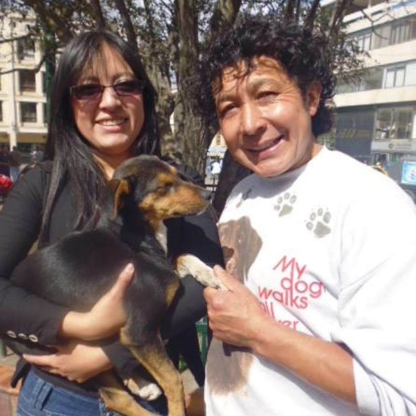 Crónicas RCN De Alejandro Rosero