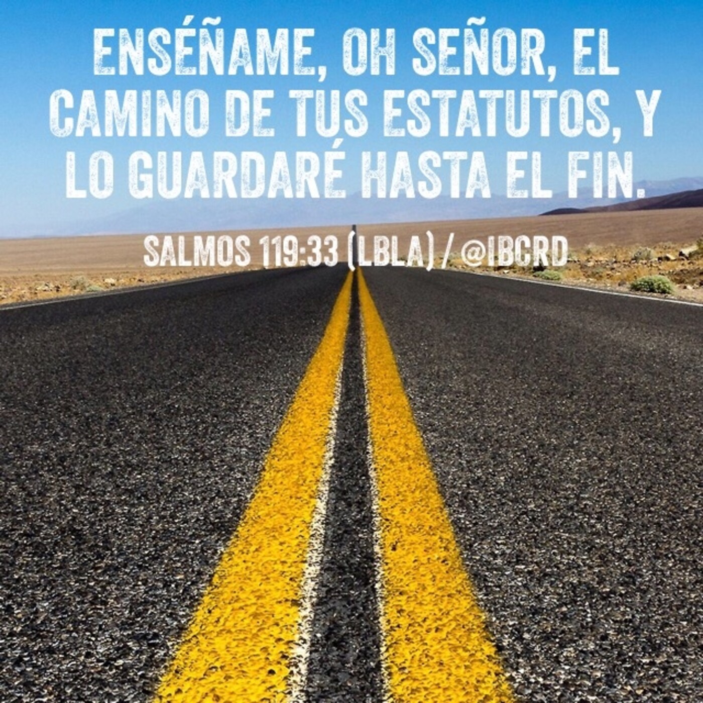 Meditando en la Palabra
