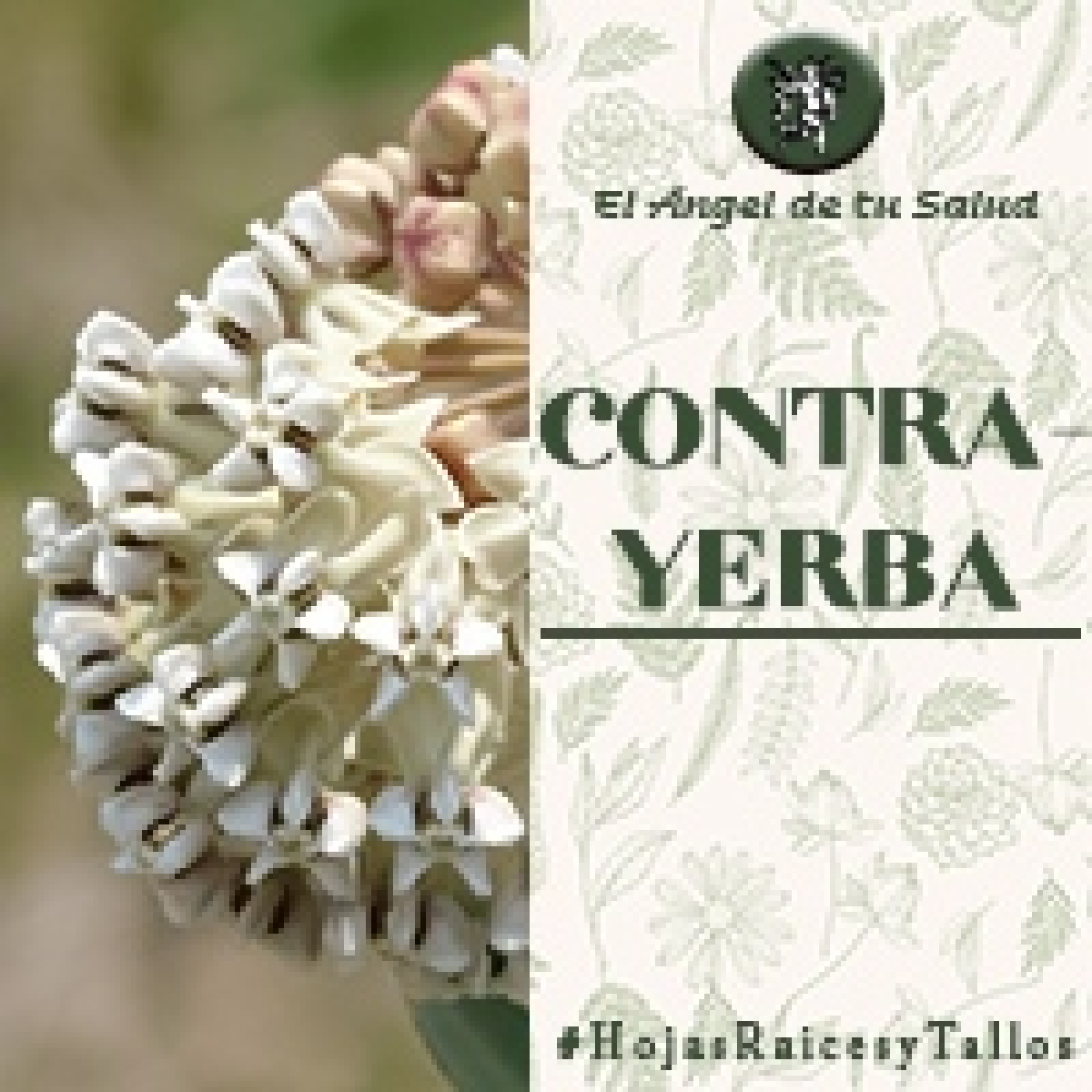 El Ángel de tu Salud - Contrayerba** episode artwork