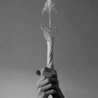 Laboratorio de no-dualidad · La respuesta consciente a la enfermedad · FEB' 20