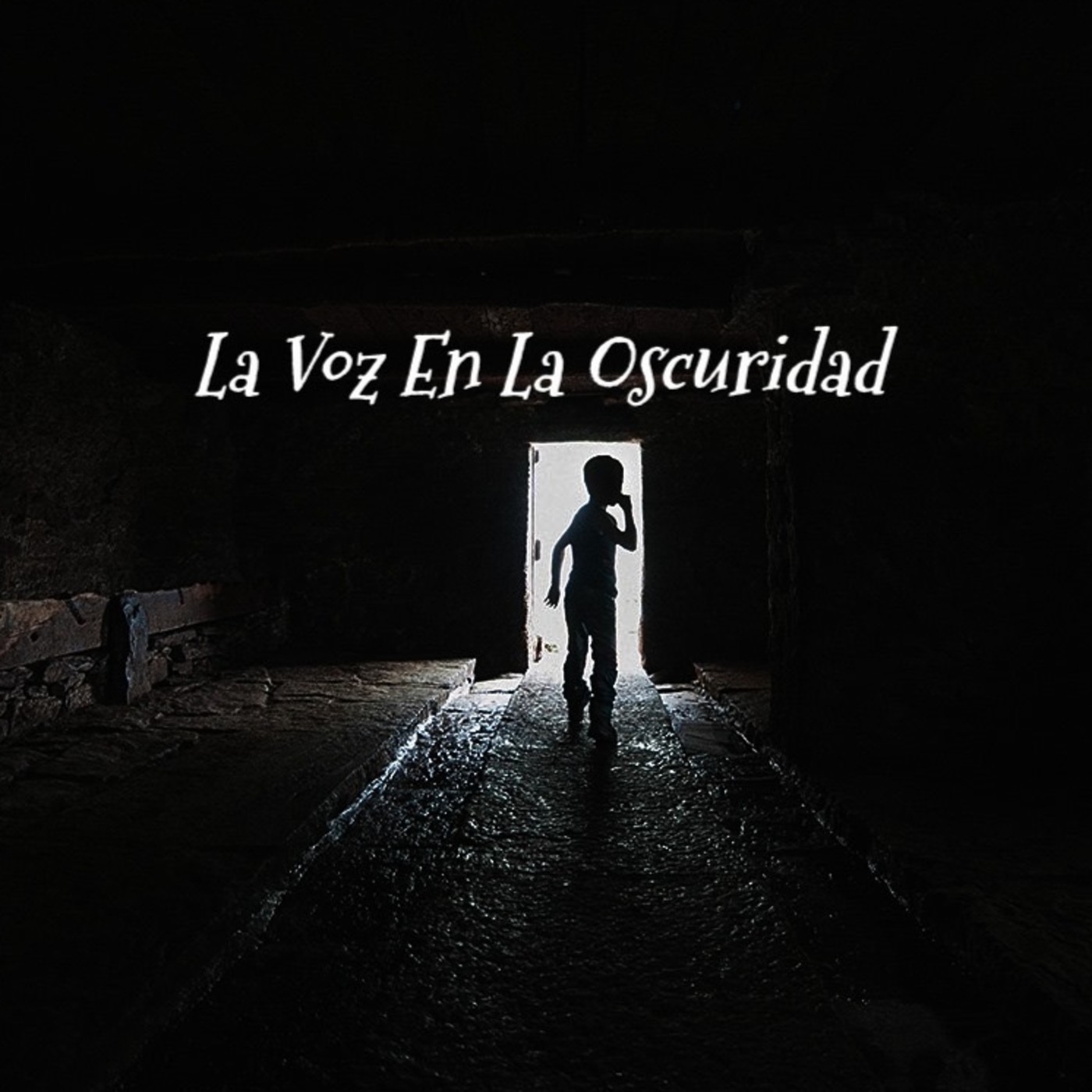 La Voz en la Oscuridad