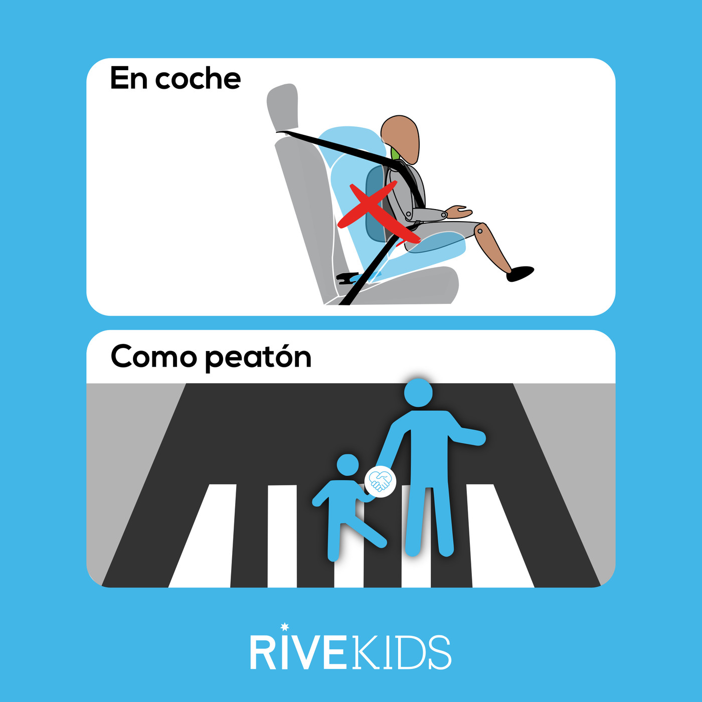 Seguridad Vial y Educación Vial