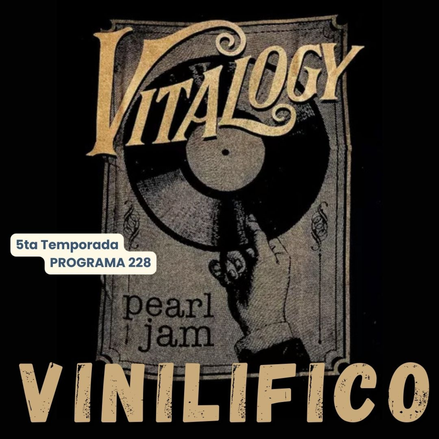 Vinilifico