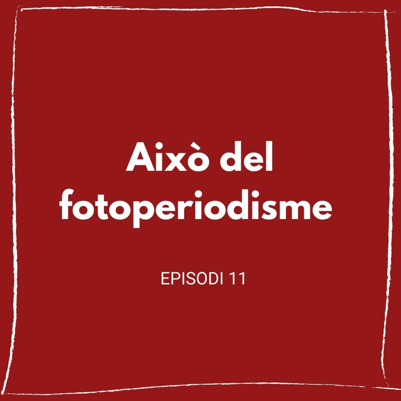 Això Rai