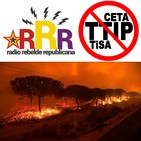 "Arde Doñana y el PSOE se abstendrá respecto al CETA"