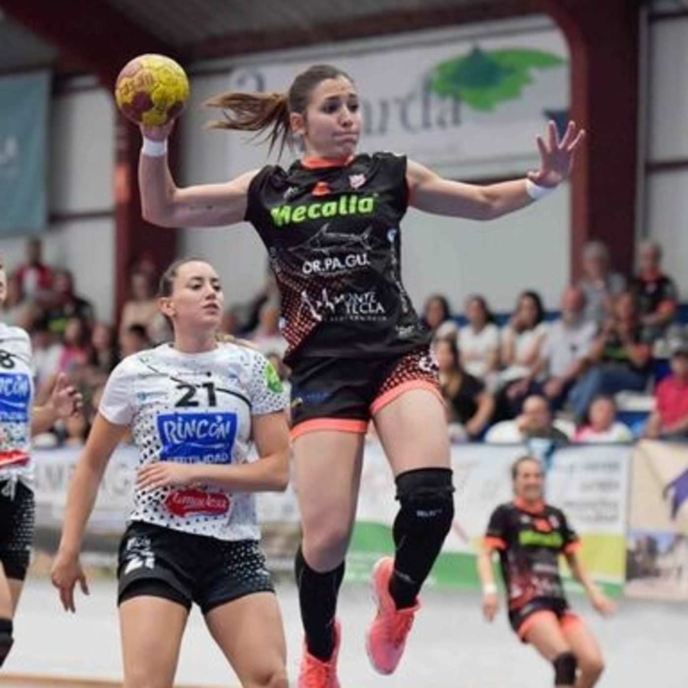 CÍES Podcast: Capítulo 39 _ 17-01-19