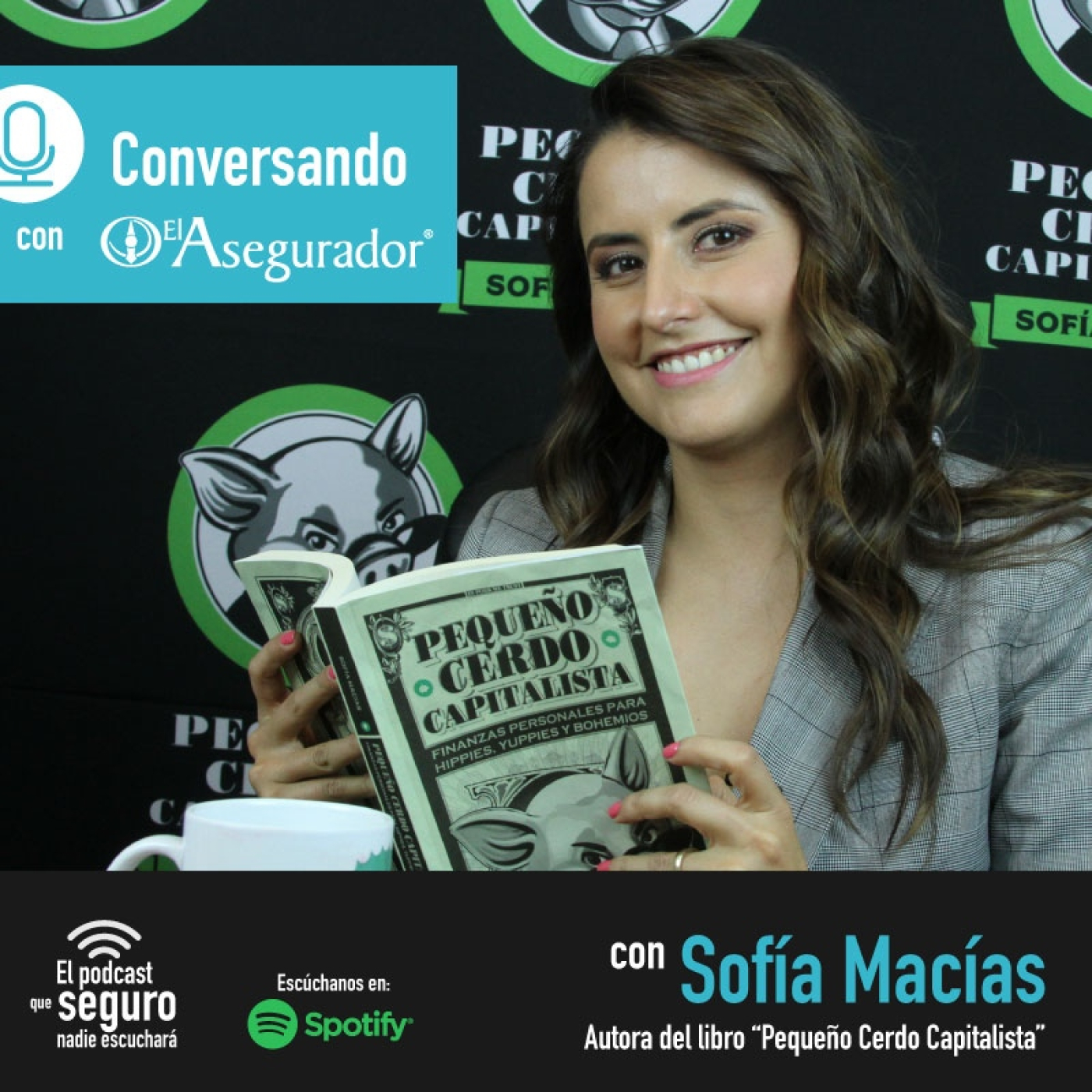 El Asegurador