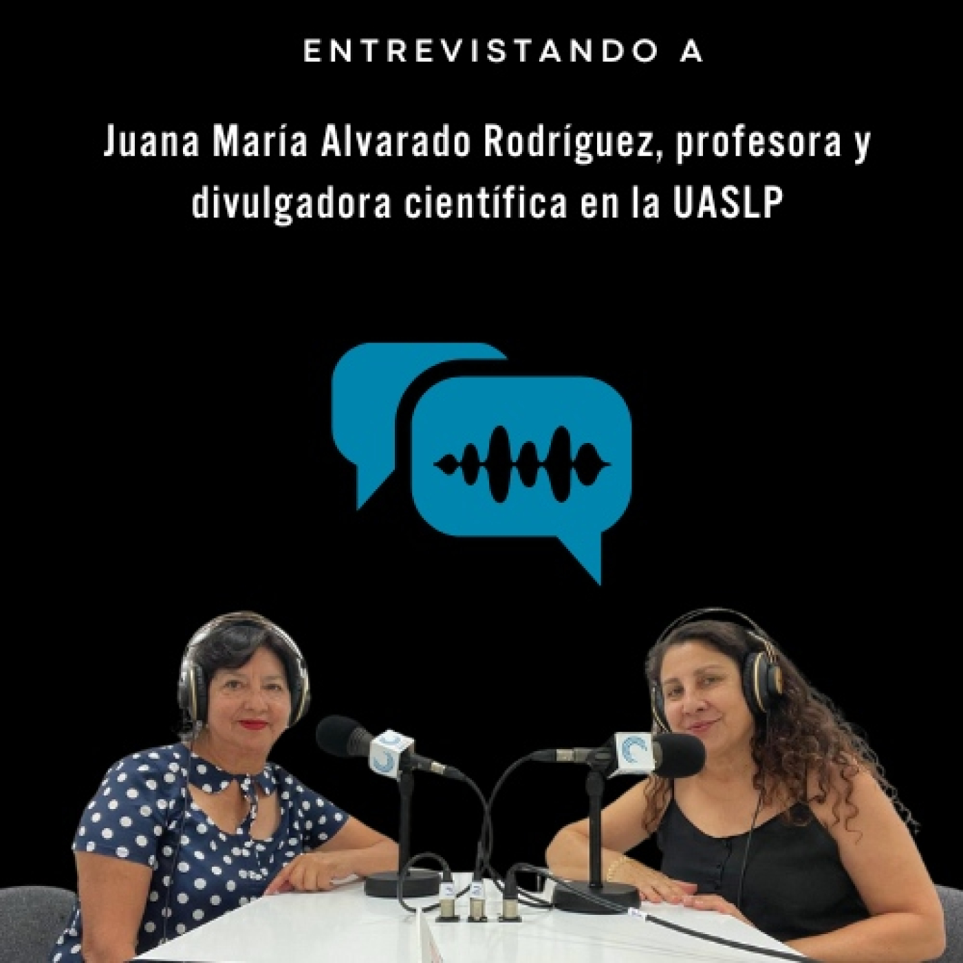 Entrevistando a