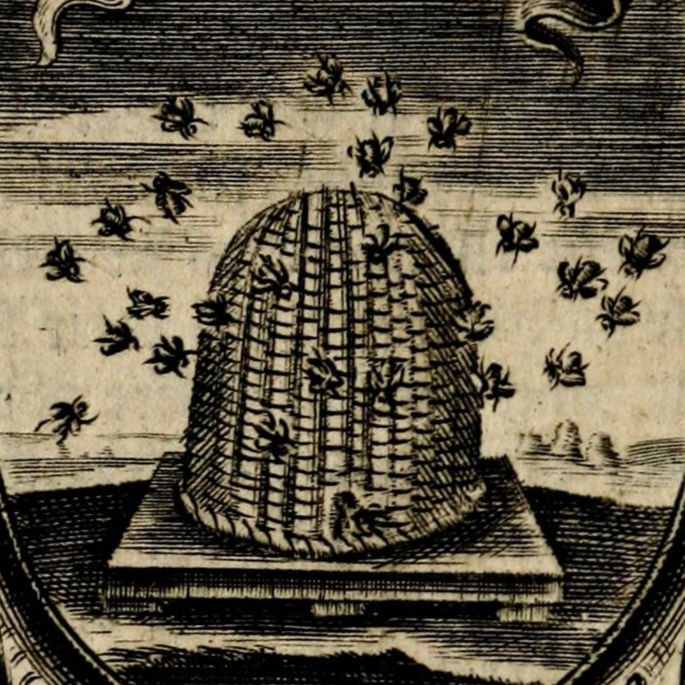 Canal Rosacruz