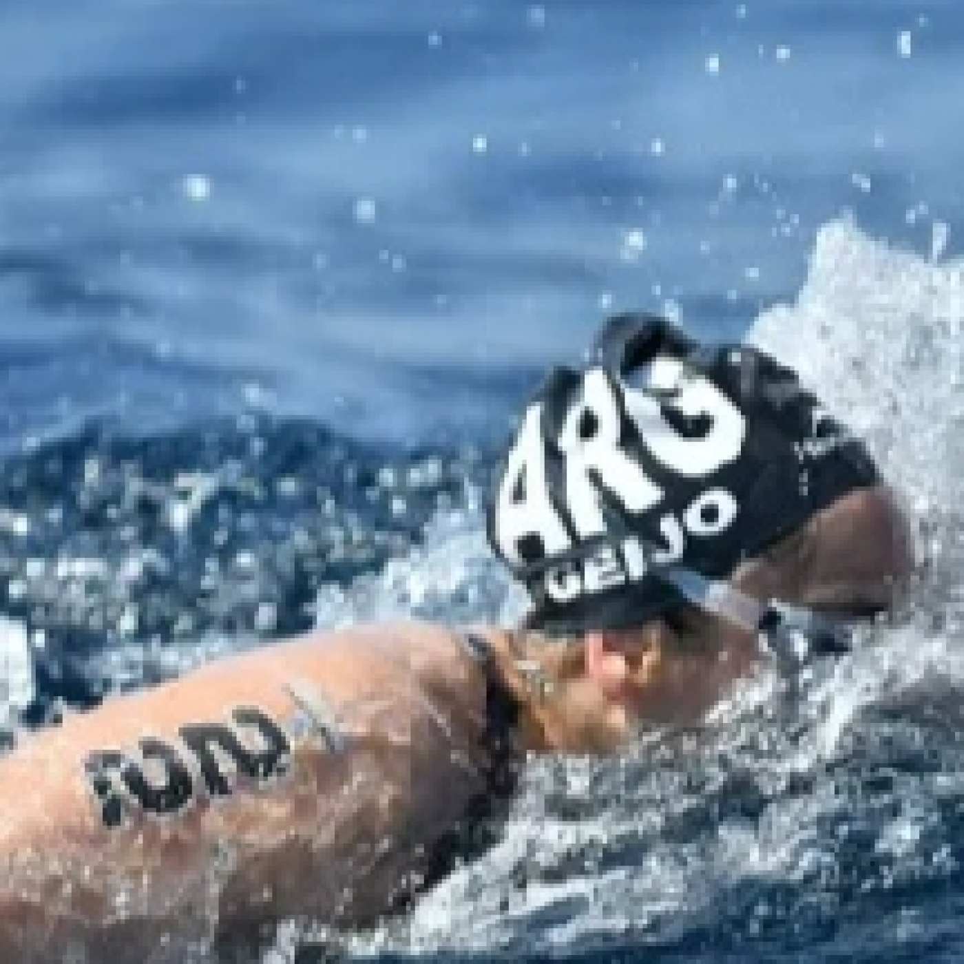 OBSERVATORIO NATACIÓN