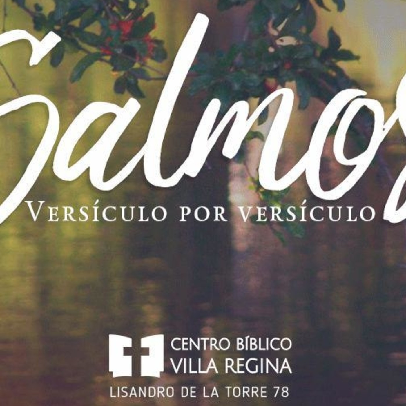 Salmos, versículo por versículo