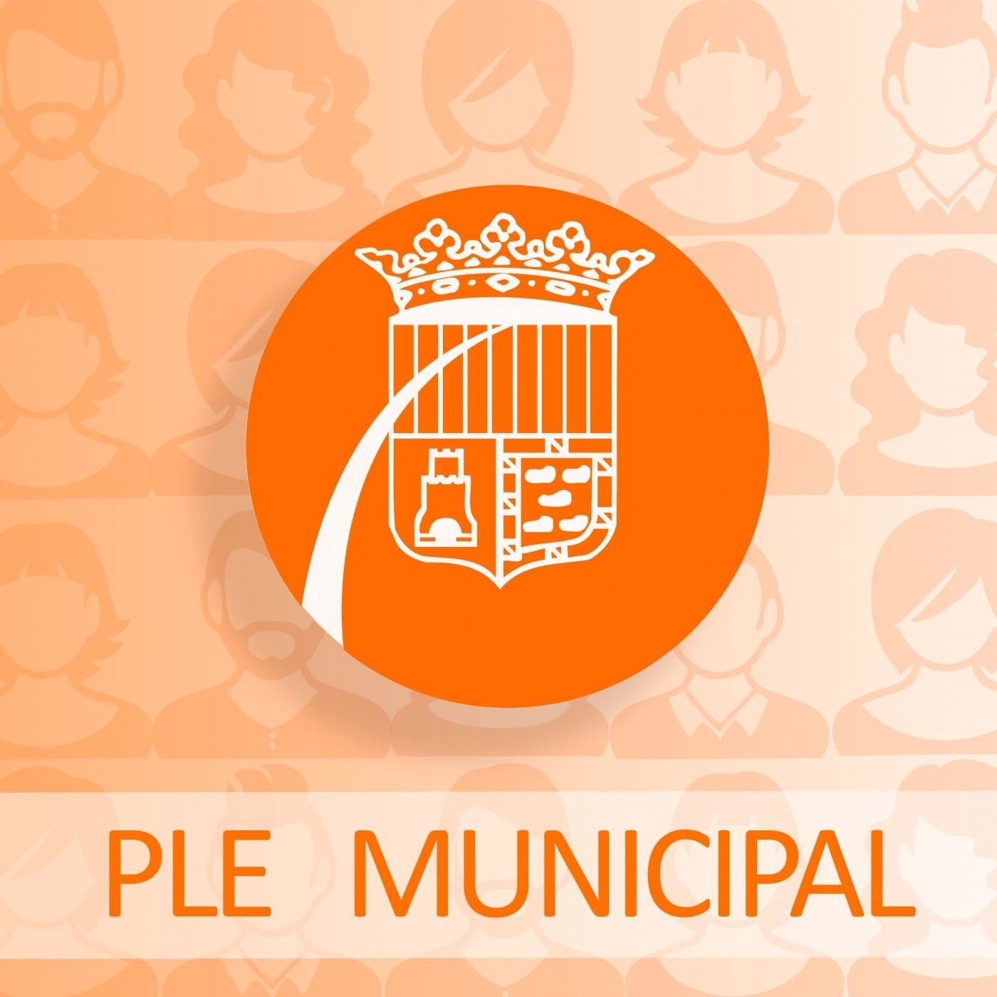Ple municipal extraordinari i telemàtic del mes de març 2020 - sense talls episode artwork