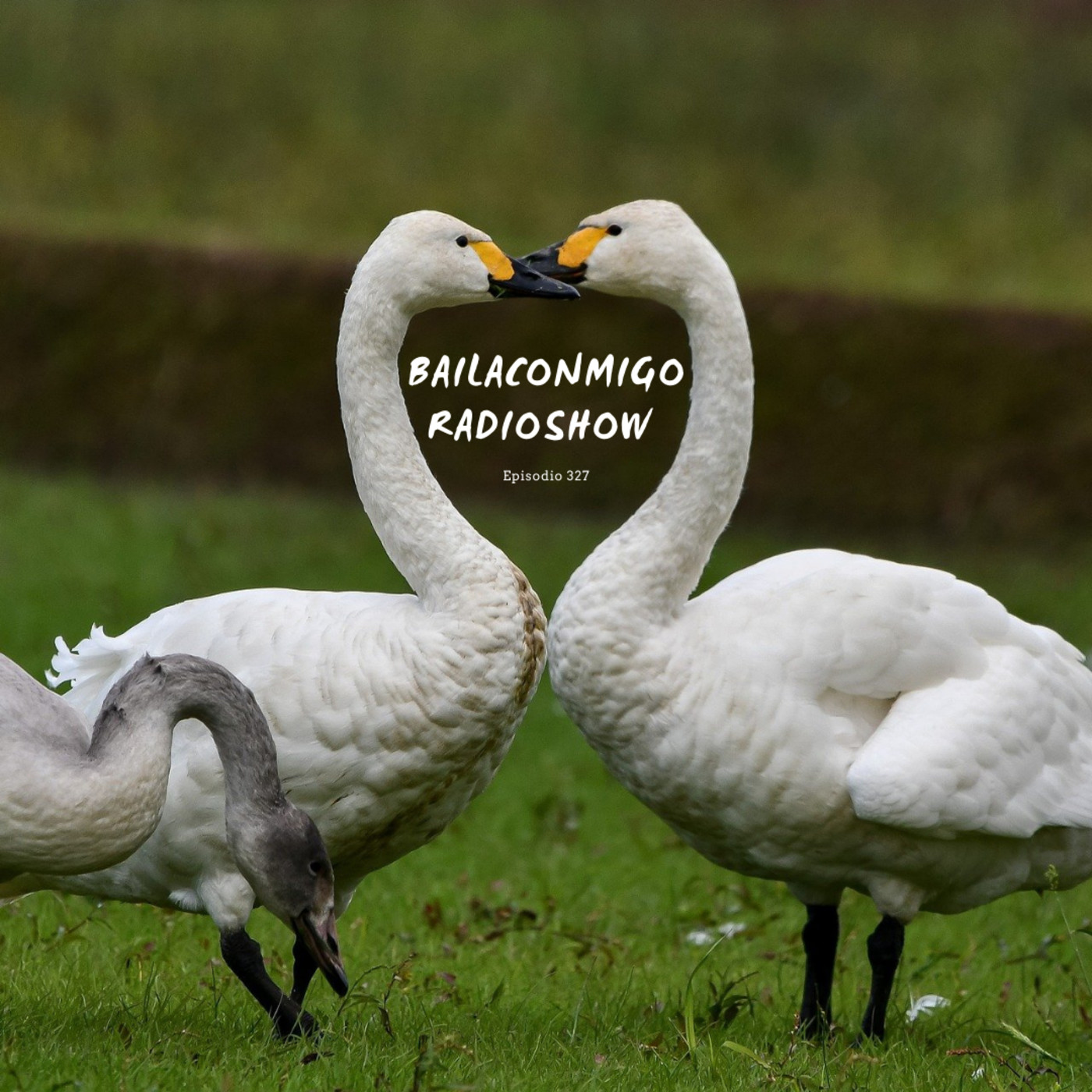 BailaConmigo RadioShow Episodio 327 - Episodio exclusivo para mecenas episode artwork