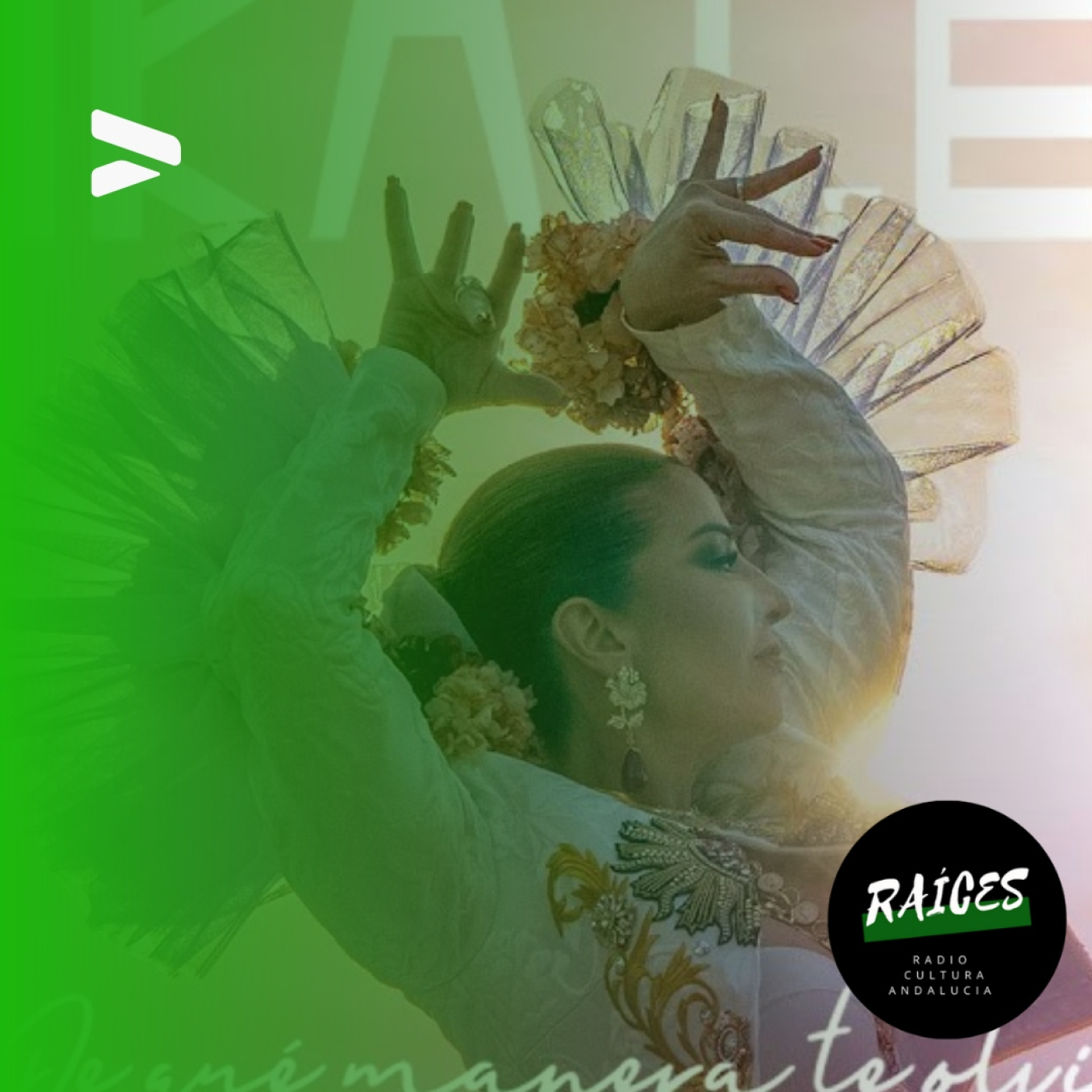 Raíces
