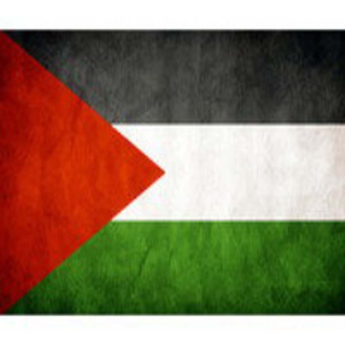 Sobre la situación de la lucha en Palestina episode artwork