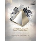 Amnesia DJ Sessions Ibiza, Vol. 8 (DJ Mix By Sander Kleinenberg) ´12