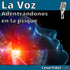 Adentrándonos en la psique: Neuropsicología de la inteligencia (3) - 27/11/19