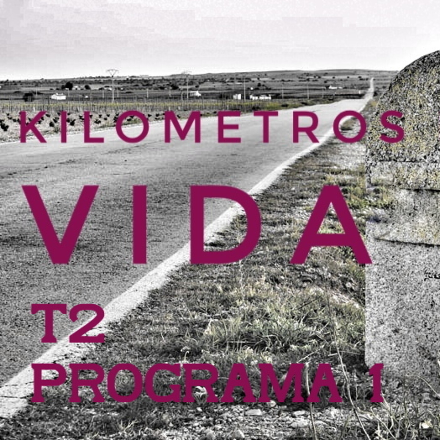 Kilómetros de Vida