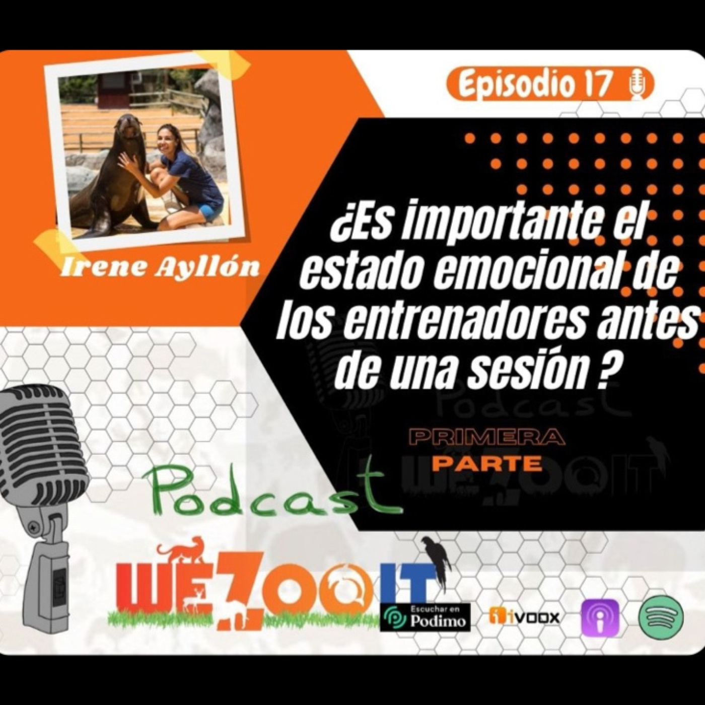 WeZooit Podcast