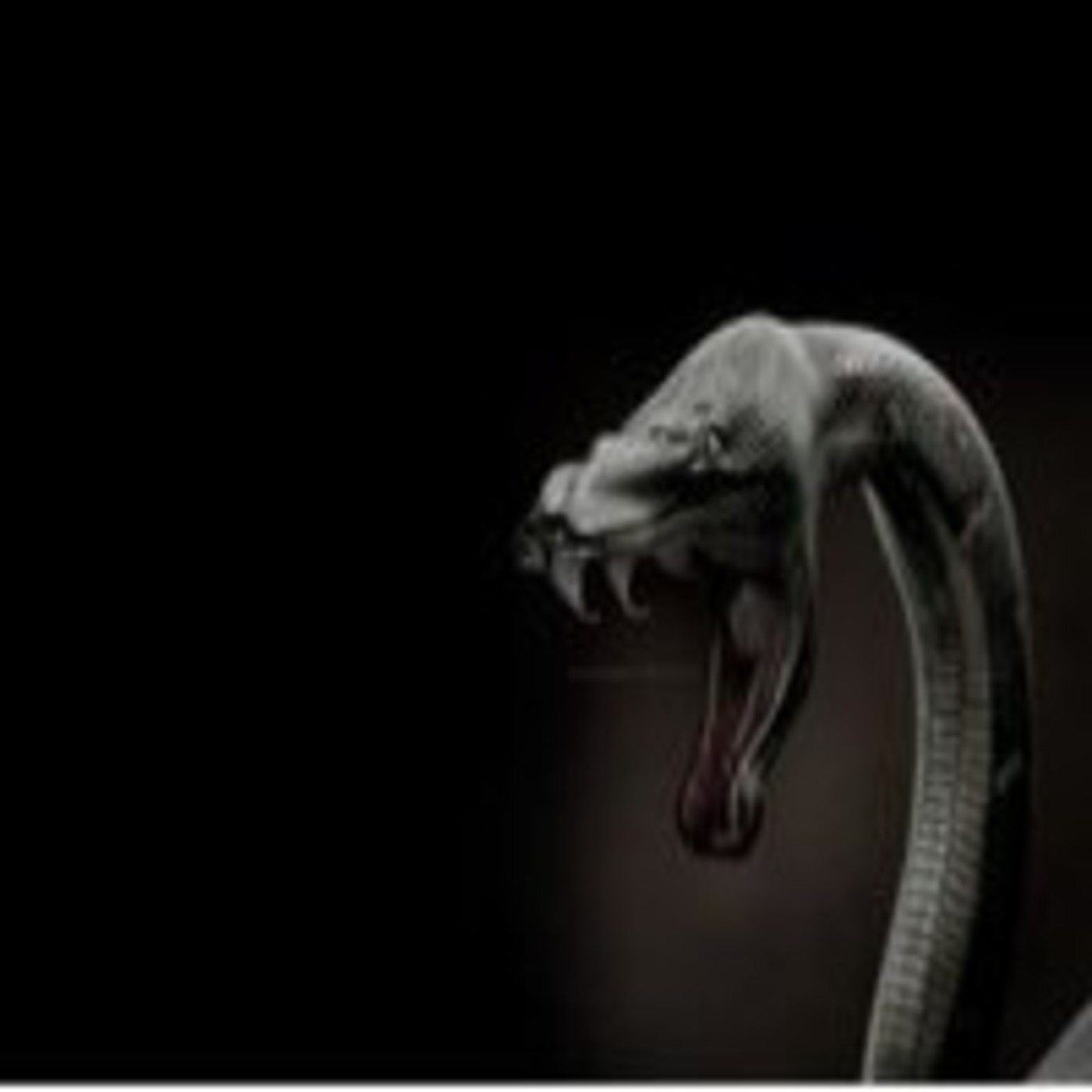 El Hombre y la Serpiente episode artwork