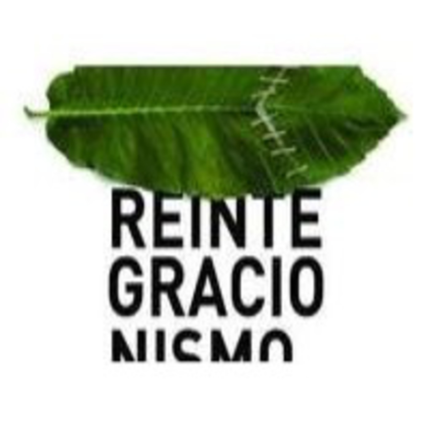 O GALEGO REINTEGRACIONISTA