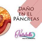 Nutribella - DAÑO EN EL PÁNCREAS