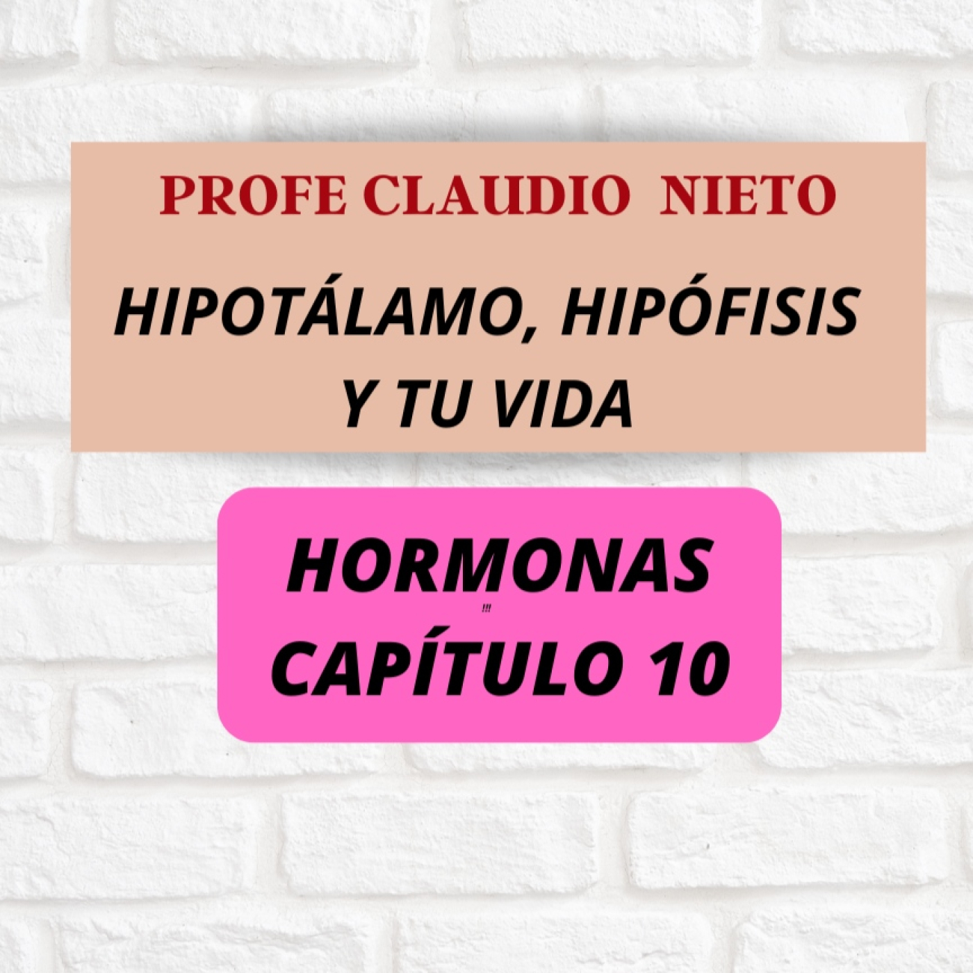 256. HORMONAS 10: HIPOTÁLAMO e HIPÓFISIS: Sin este dúo… tu cuerpo se apaga, fácil y con ciencia