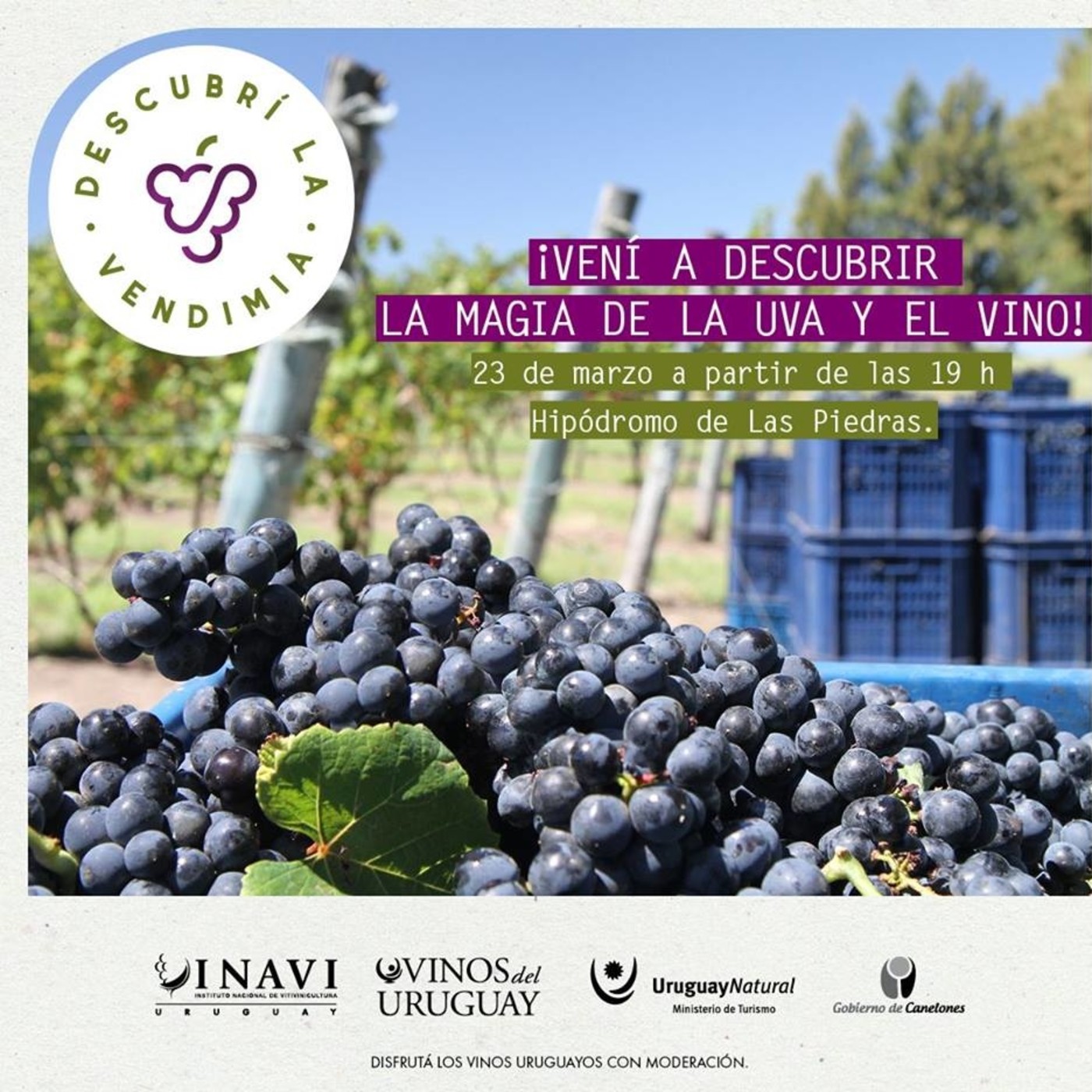 Podcast de Informe Granjero