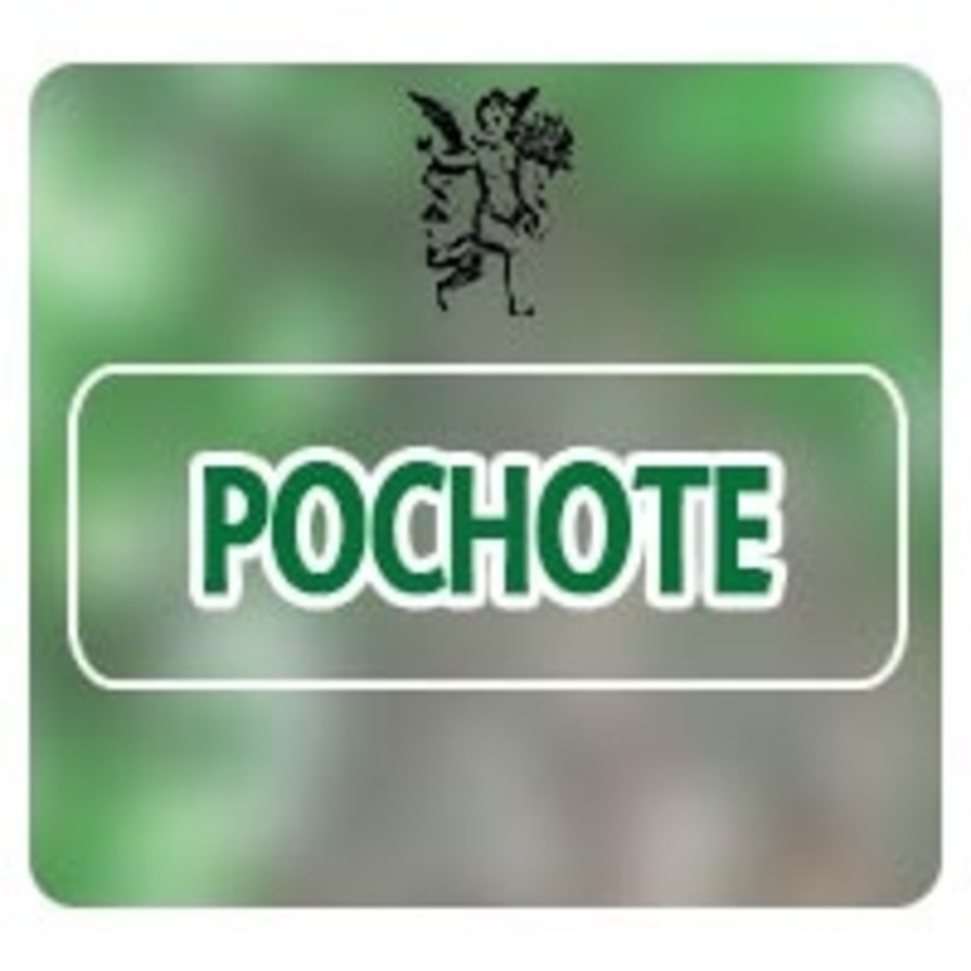 El Ángel de tu Salud - POCHOTE*