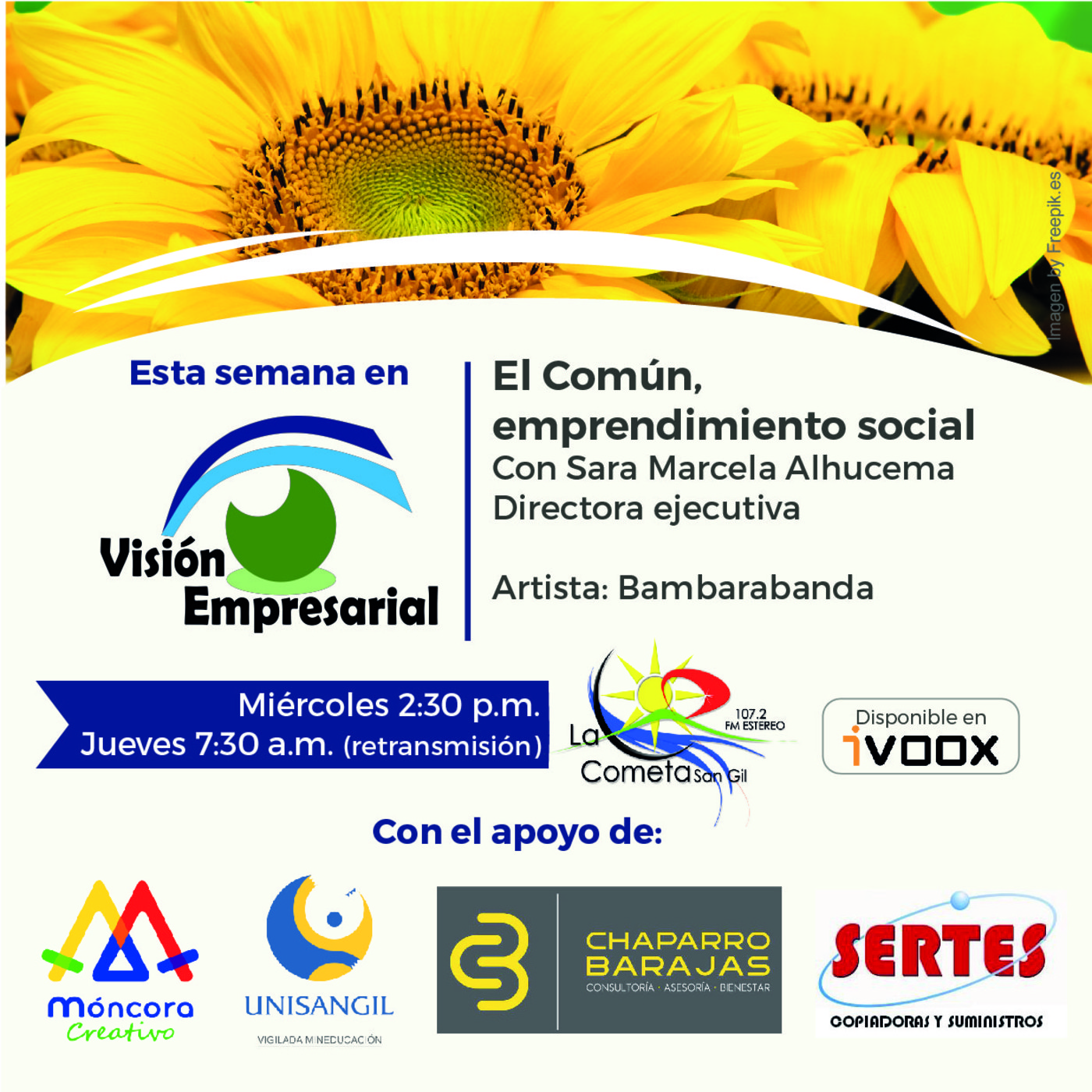 Visión Empresarial