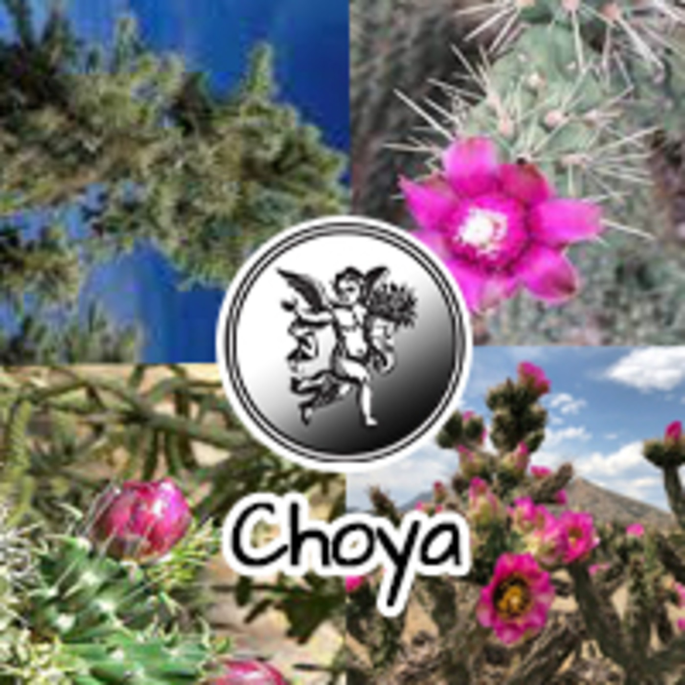 El Angel de tu Salud - CHOYA *** episode artwork