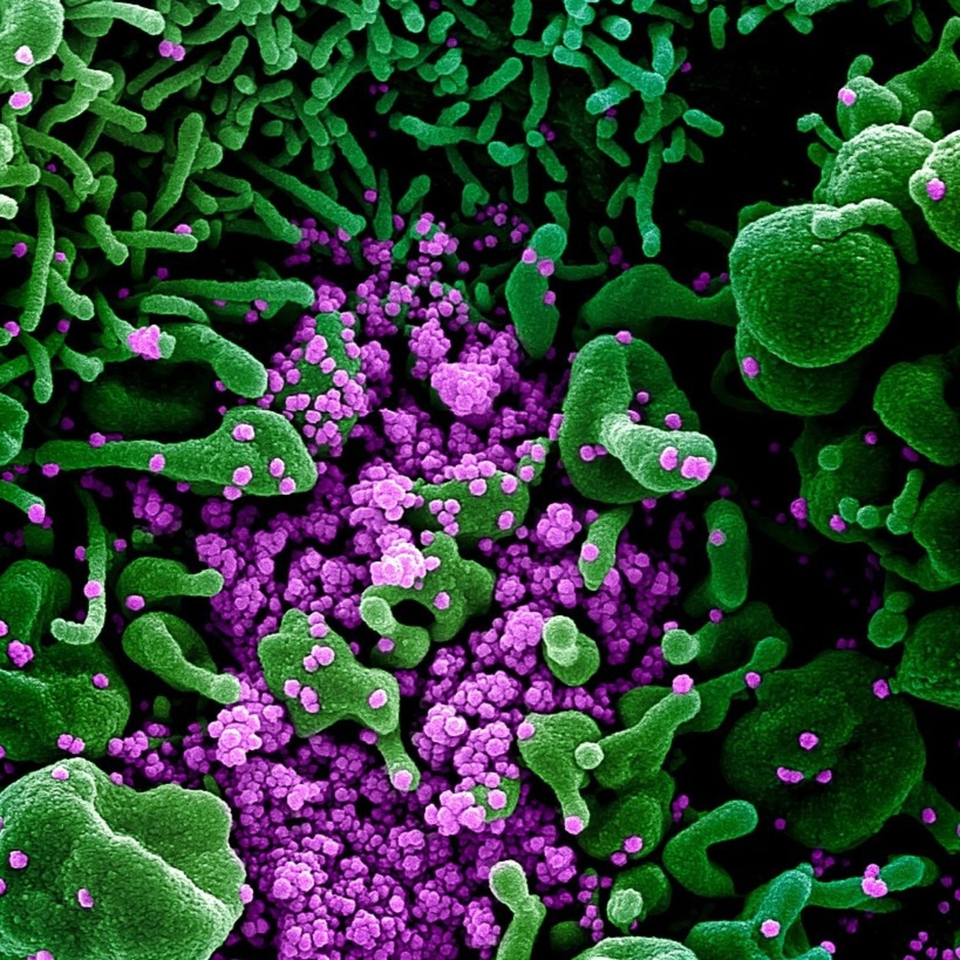 1, 2, 3 por la ciencia radio