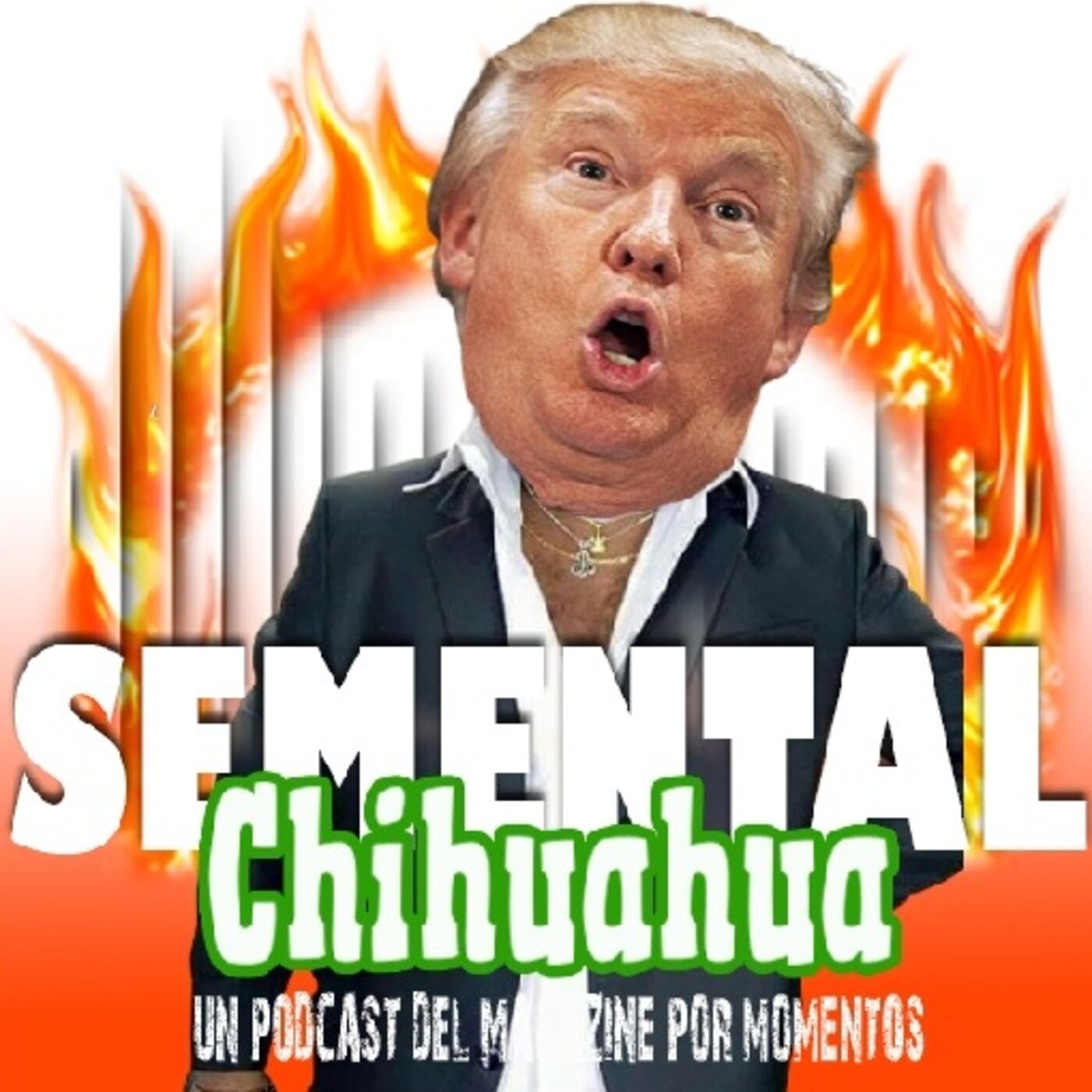 Semental Chihuahua
